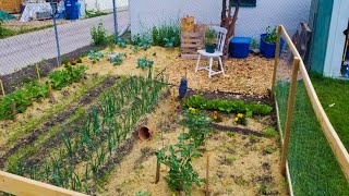 The Garden of Life