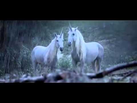 Do you know, why doesnt exist unicorns?