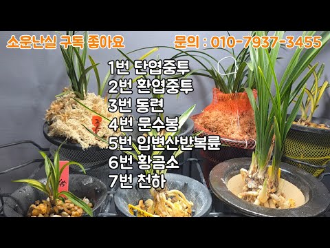 유튜브 썸네일