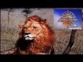 Zootopia DisneyPedia Meet The Animals Trailer READ DESCRIPTION BELOW