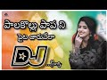 Palakollu Papa Ne Paita Jaruvela Dj Song Telugu Song Dj Song Remix