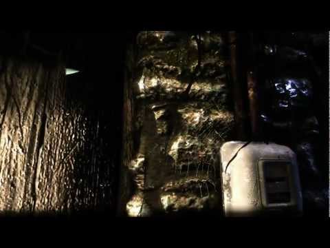 Eleusis Demo [Blind Live-Stream Let's Play]