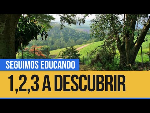 1,2,3 a descubrir: Árboles y plantas - Seguimos Educando