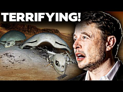 NASA Just FOUND Something On Mars That SHOCKED Elon Musk!