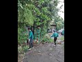 Garden care tidy up plants at star insurance 07/03/2023 3