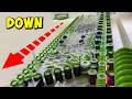Marbles Roll Down A Wall Pachinko Style Pt 2