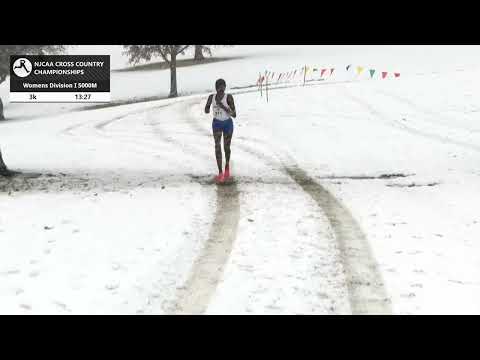 Women's Division I 5K - NJCAA National Cross Country Championships 2025 [Full Race Replay]