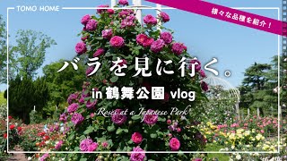 【2025/5】満開のバラを見に鶴舞公園に行ってきた！【宿根草の花壇】