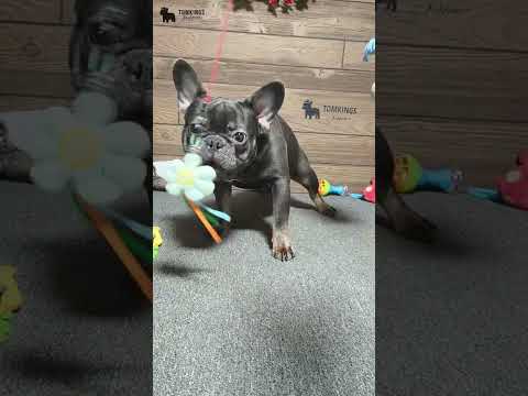 Video 2