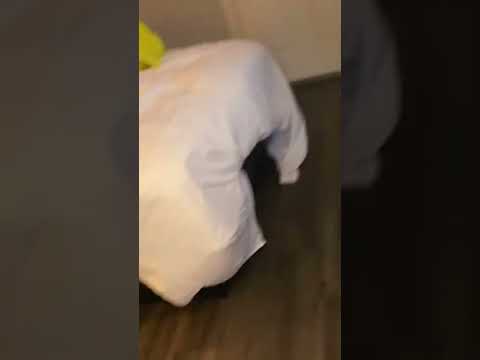 South Seas Island Resort - I want my refund - Image 3