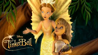 TinkerBell: A new tinker in the family
