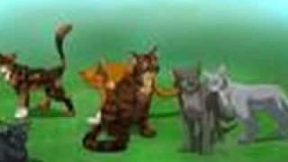 squirrelflight-some things get lost
