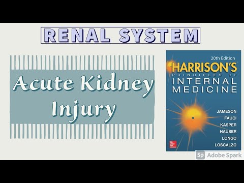 Acute Kidney Injury | Part 1 of 2 | Etiology | Pathogenesis | Harrison