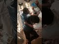 Sleeping Mode In Thalapathy Vijay Whatsapp Status