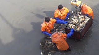 Рыбалка на купавинский пруд