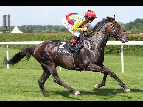 Dresden: Großer Preis der Freiberger Bierspezialitäten (L) - Sieger: Be My Sheriff