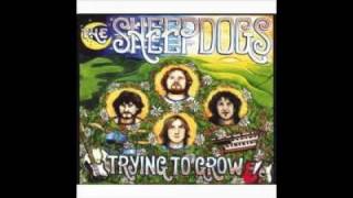 the Sheepdogs- Greedy Man