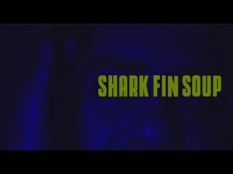 Dusty Renoylds - Shark Fin Soup (Official Video)