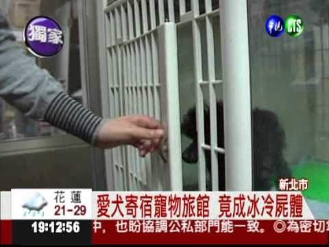 寵物旅館害死愛犬? 飼主討公道