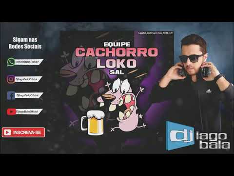CD EQUIPE CACHORRO LOKO SAL DE SANTO ANTONIO DO LESTE-MT - DJ IAGO BALA