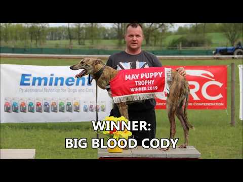 MAY PUPPY TROPHY 11/05/19