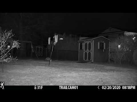 fox 20FEB2020 0818pm