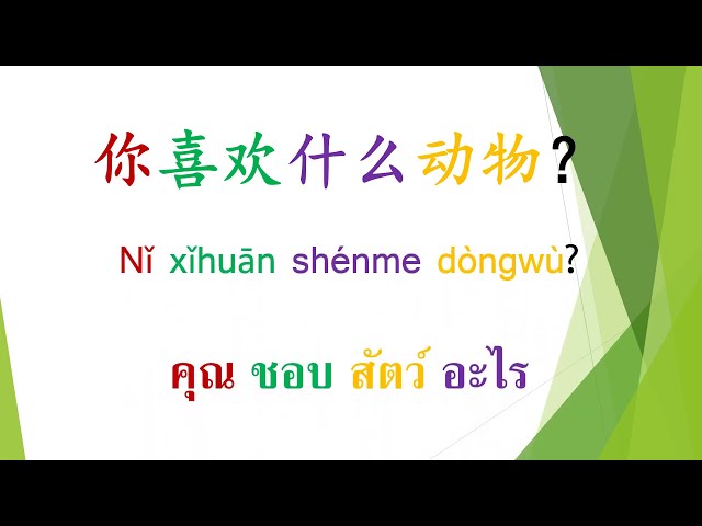 เรียนภาษาจีน By kruji  EP.2 你喜欢什么动物？ คุณชอบสัตว์อะไร