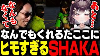 何でもくれるたここにヒモすぎるSHAKA【SURGE Town】