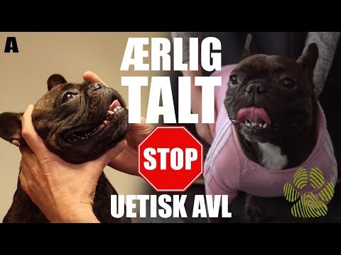 ÆRLIG TALT. 😡🐾