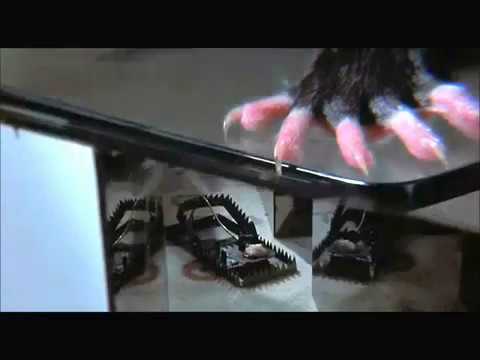 Of Unknown Origin Trailer