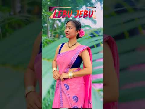 LEBU JEBU | OFFCIAL MUSIC VIDEO | BIO PEGU | RUPALI PAYENG| PINA PATIR | AMAR DOLEY #banikantapegu99