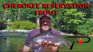 Cherokee Trout Fishing