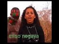 Saron Teferi Miso Negaya