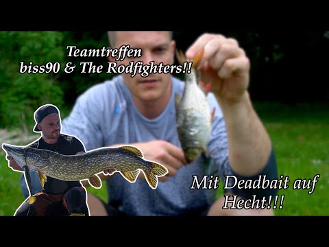 Hechtangeln mit Deadbaits / Teamtreffen biss90 & The Rodfighters
