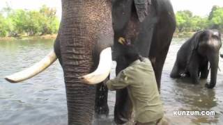 Dubare Elephant Camp, Coorg, Karnataka