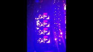 red hot chillie peppers! summer sonic! callifornication! doug