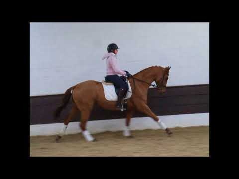 LUPUS 4j. v. Londontime - Don Frederico VB 5.000,- Euro