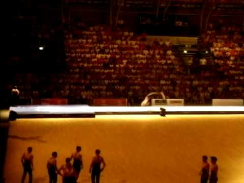 Gymnaestrada 2007 fig gala