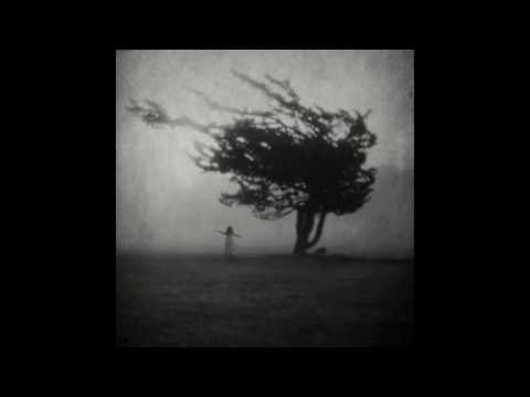 John Rous & Alfie Rhodes - Oasis (Video Mix)