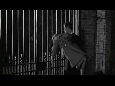 the curse of the fly  - nicole gray -  unc