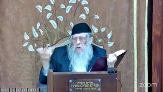 הרה"ג הרב וועכטר שליט"א כ"ט כסלו תשפ"ה - מאמר הרבי (הרב אברהם מנחם מענדל וכטר) - התמונה מוצגת ישירות מתוך אתר האינטרנט יוטיוב. זכויות היוצרים בתמונה שייכות ליוצרה. קישור קרדיט למקור התוכן נמצא בתוך דף הסרטון