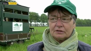 preview picture of video 'Weidevogelbescherming in Sint Oedenrode'