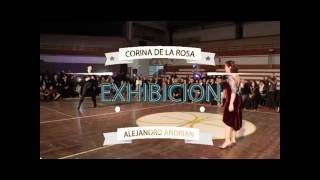 EXHIBICION CORINA DE LA ROSA Y ALEJANDRO ANDRIAN - PRELIMINAR SANTA FE 2016