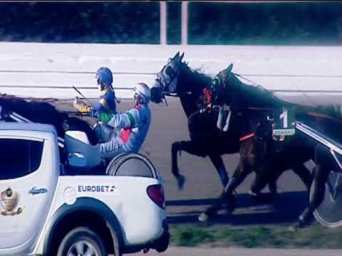 Trotto 17/02/2019 - 3ª corsa