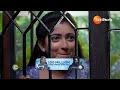 Nindu Noorella Saavasam | Ep - 245 | Best Scene | May 24 2024 | Zee Telugu - Video