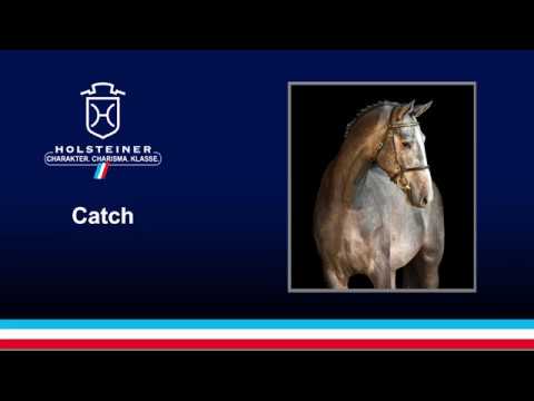 Catch v. Colman - Calido I | 2018