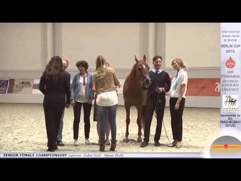 Third place Berlin Cup Werder 2015 - Senior Female Championship (Class 19) - N.42 GAJA IRIS