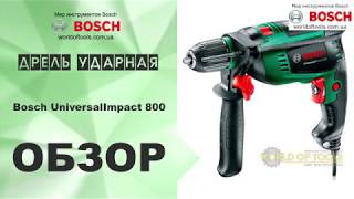 Bosch UniversalImpact 800 (0603131120) - відео 1