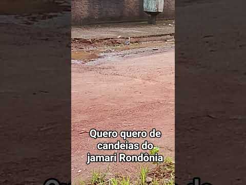 quero quero de candeias do jamari Rondônia