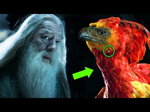 Why Didn't Fawkes' Tears Heal Dumbledore's Hand? - Harry Potter Explained
